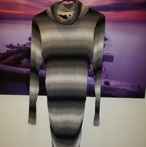 Turtle Neck Dress with Rouched Siding